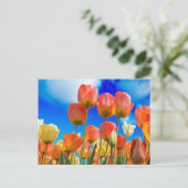 Onder een Tulip Sky Briefkaart (Staand voorkant)