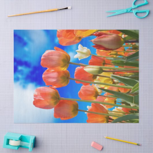 Onder een Tulip Sky Tissuepapier (Craft)