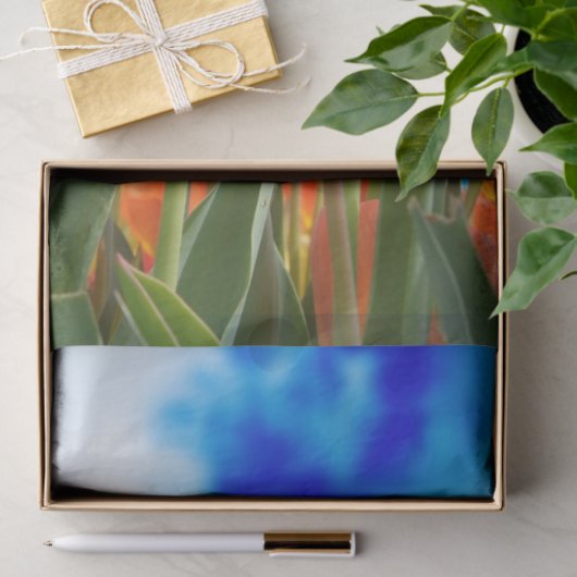 Onder een Tulip Sky Tissuepapier (Geschenk)