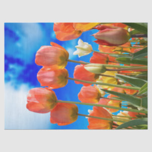 Onder een Tulip Sky Tissuepapier