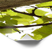 Onder een wijnstokboekje perfect poster (Hoek)