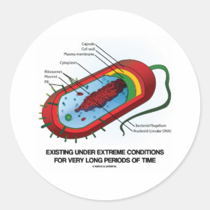 Onder extreme omstandigheden zeer lang bestaan ronde sticker