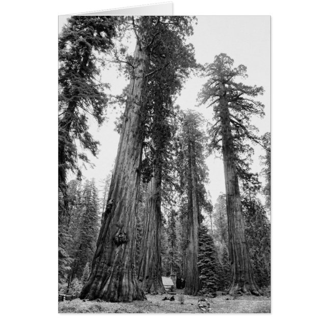 Onder Giants-kaart (Voorkant)