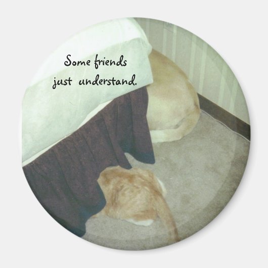 Onder het bed magneet (Voorkant)