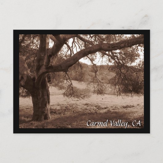 Onder het Briefkaart Oaks (Voorkant)