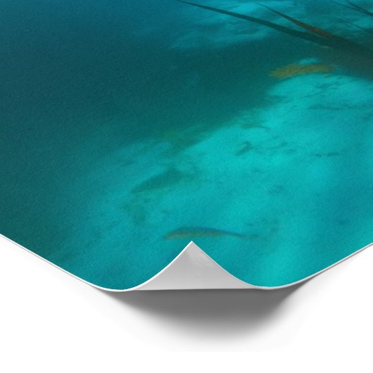 Onder het ijs poster (Hoek)