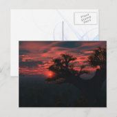 Onder het oude Briefkaart (Voorkant / Achterkant)