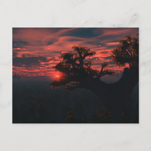 Onder het oude Briefkaart (Voorkant)