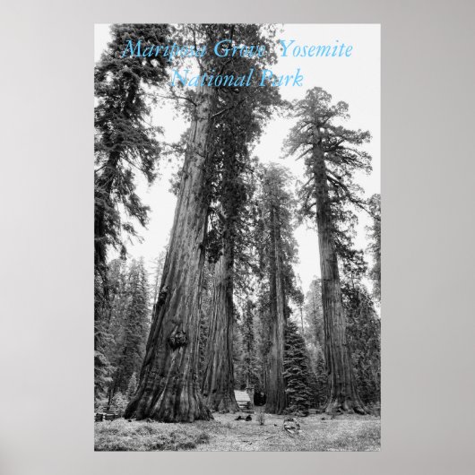 Onder het poster van Giants (Voorkant)