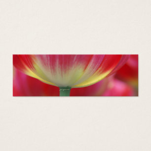 Onder het rokje van tulpen mini visitekaartjes