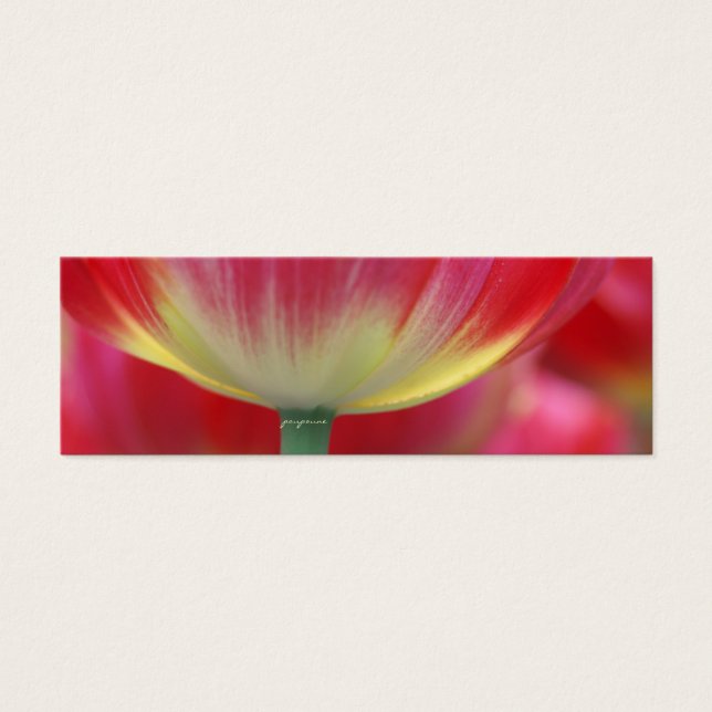 Onder het rokje van tulpen mini visitekaartjes (Voorkant)