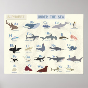 Onder het Zee Alphabet Poster