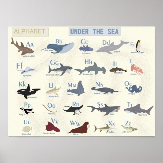 Onder het Zee Alphabet Poster (Voorkant)