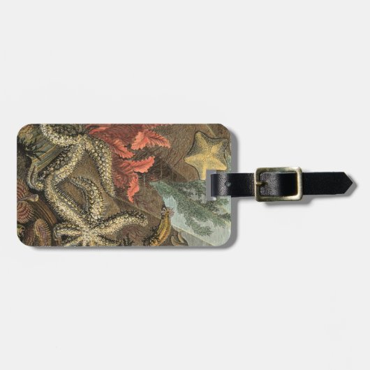 Onder het Zee Bagagelabel (Voorkant horizontaal)