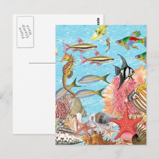 Onder het zee briefkaart (Voorkant / Achterkant)