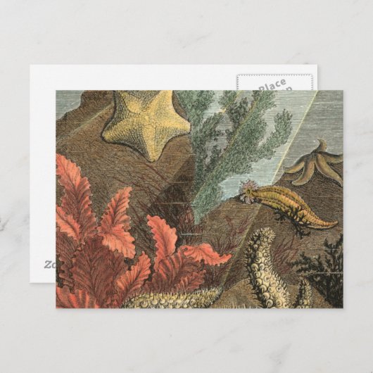 Onder het Zee Briefkaart (Voorkant / Achterkant)