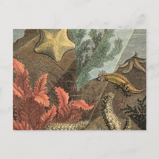 Onder het Zee Briefkaart (Voorkant)