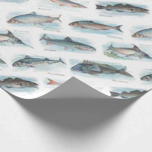 Onder het Zee Cadeaupapier (Hoek)