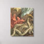 Onder het Zee Canvas Afdruk (Voorkant)