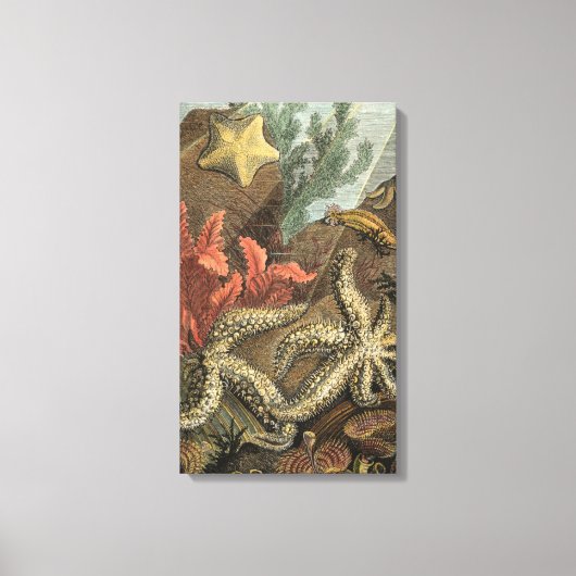 Onder het Zee Canvas Afdruk (Voorkant)