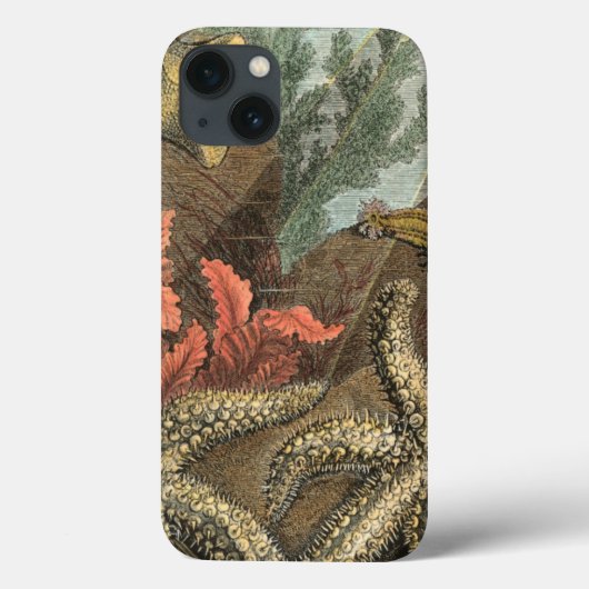 Onder het Zee Case-Mate iPhone Case (Achterkant)