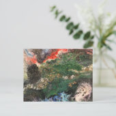 Onder het Zee Fairy-sprookje in groen Briefkaart (Staand voorkant)