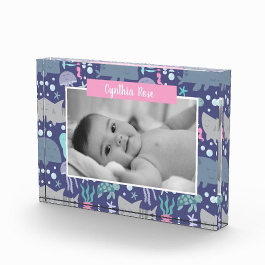 Onder het Zee Fotoblokken (Rechts)