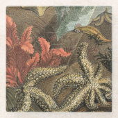 Onder het Zee Glazen Onderzetter (Voorkant)