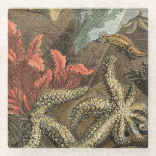 Onder het Zee Glazen Onderzetter