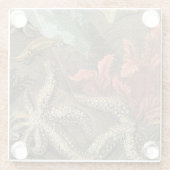 Onder het Zee Glazen Onderzetter (Achterkant)