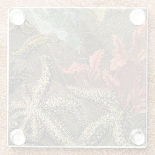 Onder het Zee Glazen Onderzetter (Achterkant)