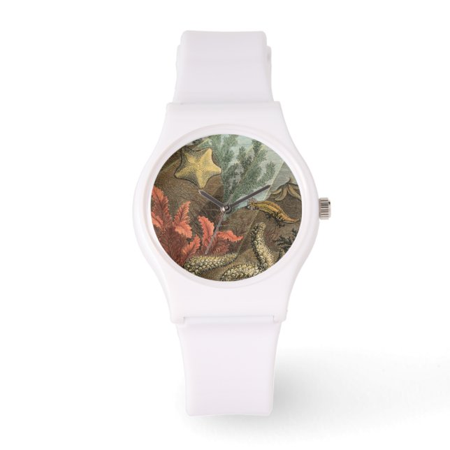 Onder het Zee Horloge (Voorkant)