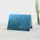 Onder het Zee Kaart (Voorkant)