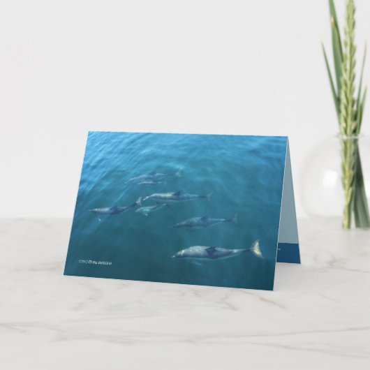 Onder het Zee Kaart (Voorkant)