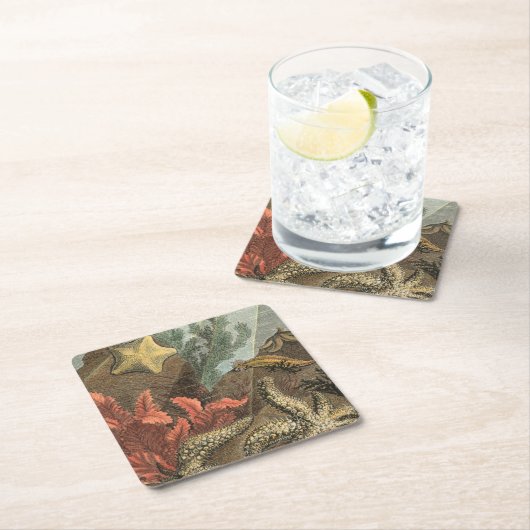 Onder het Zee Kartonnen Onderzetters (Insitu)