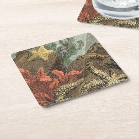 Onder het Zee Kartonnen Onderzetters (Schuin)