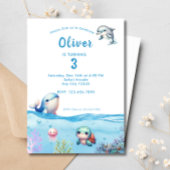 Onder het Zee Kids Verjaardagsfeestje Dolfijnschil