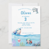 Onder het Zee Kids Verjaardagsfeestje Dolfijnschil (Voorkant)