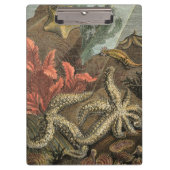 Onder het Zee Klembord (Voorkant)