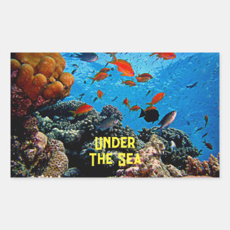 Onder het Zee Koraalvis Marine Life Blue Water Rechthoekige Sticker