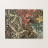 Onder het Zee Legpuzzel (Horizontaal)