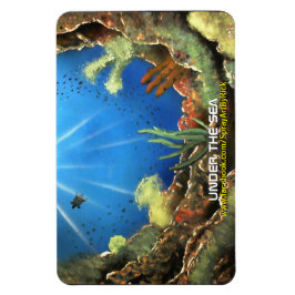 Onder het Zee Magneet