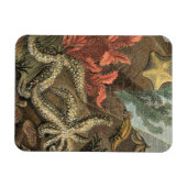 Onder het Zee Magneet (Horizontaal)