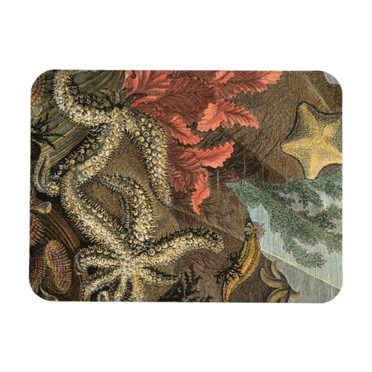 Onder het Zee Magneet (Horizontaal)