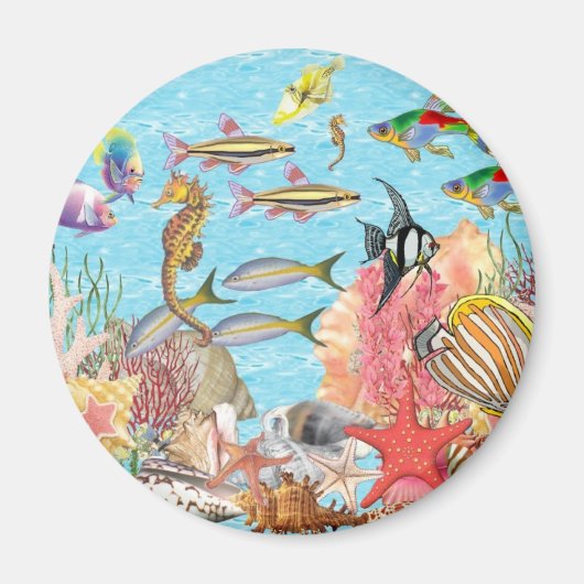 Onder het zee magneet (Voorkant)