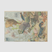 Onder het zee mariene biologie ambachtslieden' tissuepapier (Voorkant)