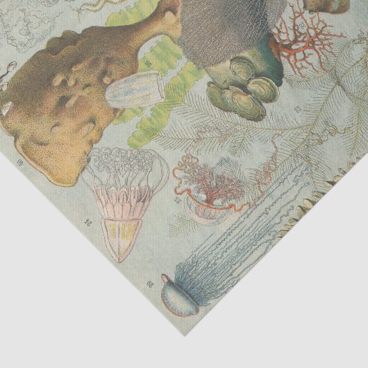 Onder het zee mariene biologie ambachtslieden' tissuepapier (Detail)