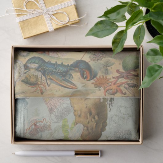 Onder het zee mariene biologie ambachtslieden' tissuepapier (Geschenk)