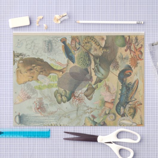 Onder het zee mariene biologie ambachtslieden' tissuepapier (Craft)