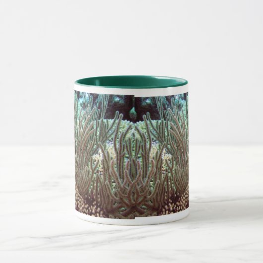 Onder het Zee Mok (Midden)